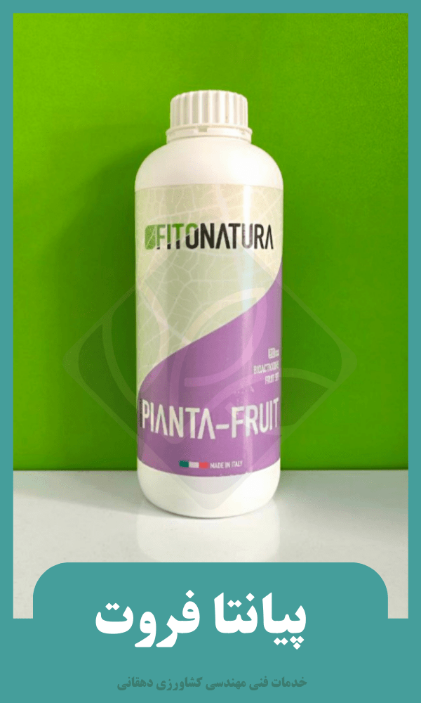 پیانتا فروت(PIANTA-FRUIT)