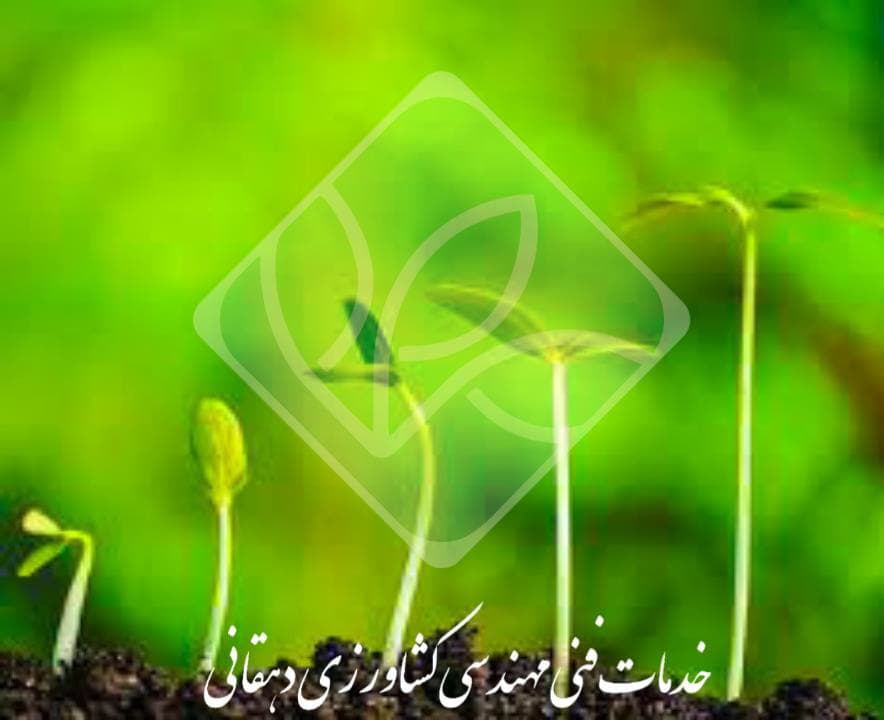 آمینو اسید