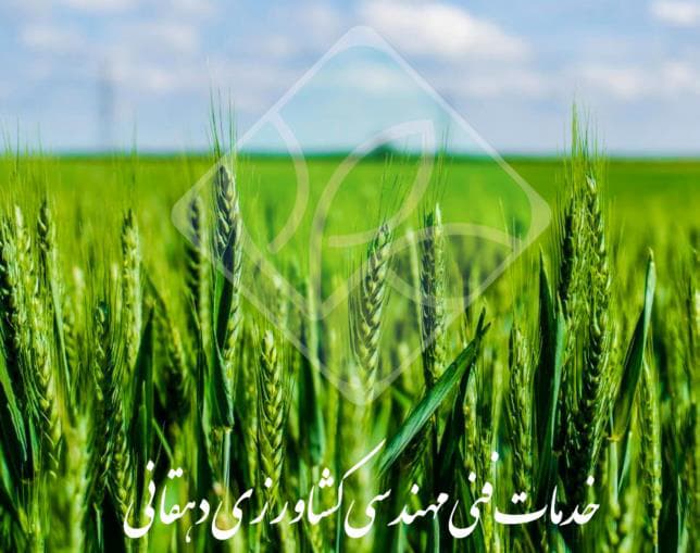 گندم و بیماری های آن قسمت اول