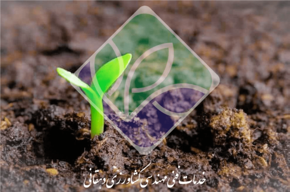 عنصری به نام کلسیم