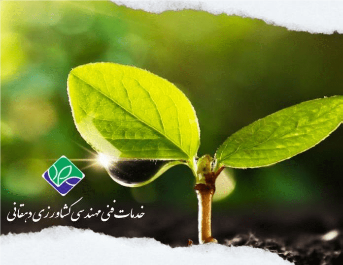 عنصری به نام مولیبدن